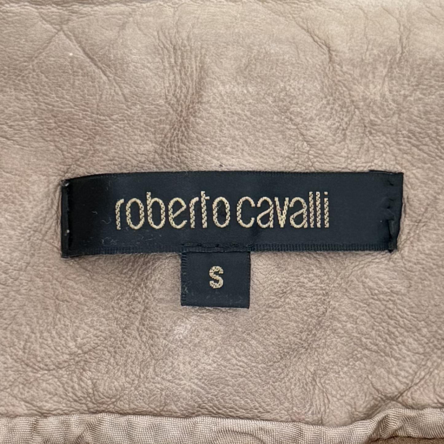 Roberto Cavalli Leather Mini Skirt